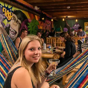 Albergue Purple Monkey, Medellín